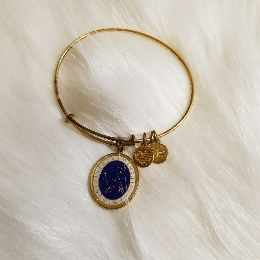 Alex and Ani bracelet